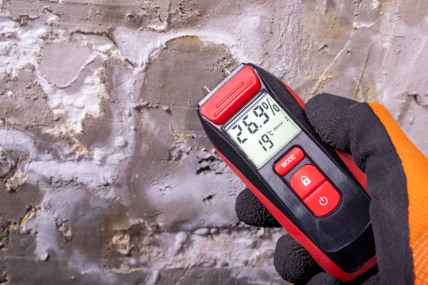 Best Mold Remediation  in Prudenville, MI