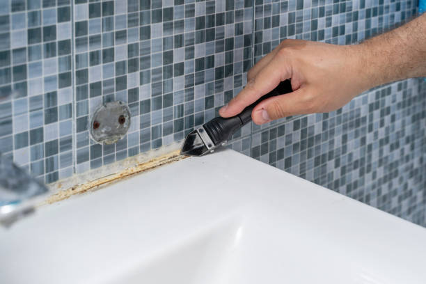 Best Fast Mold Removal  in Prudenville, MI