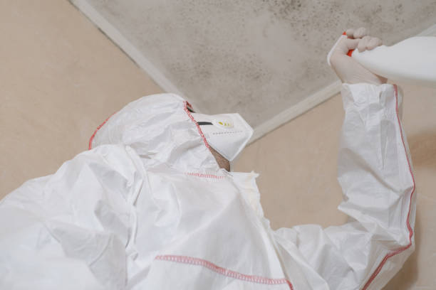 Best Mold Cleaning Services  in Prudenville, MI